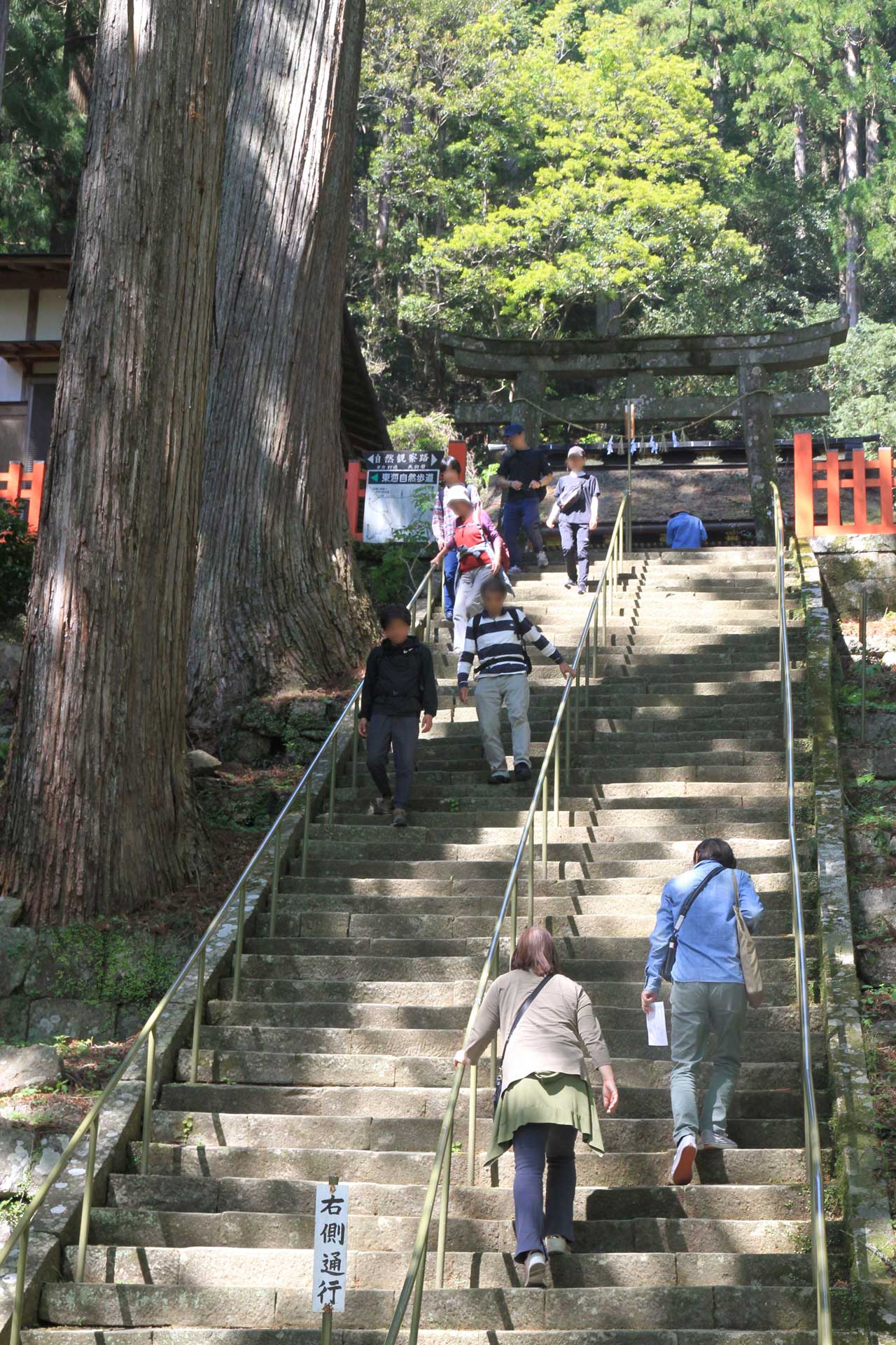 いまも多くの人が参詣する鳳来寺山東照宮