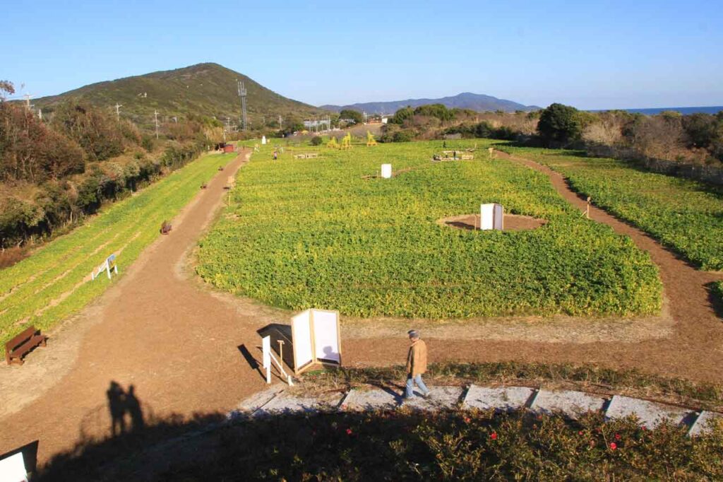 園内の丘から見た会場(2025年1月18日撮影)