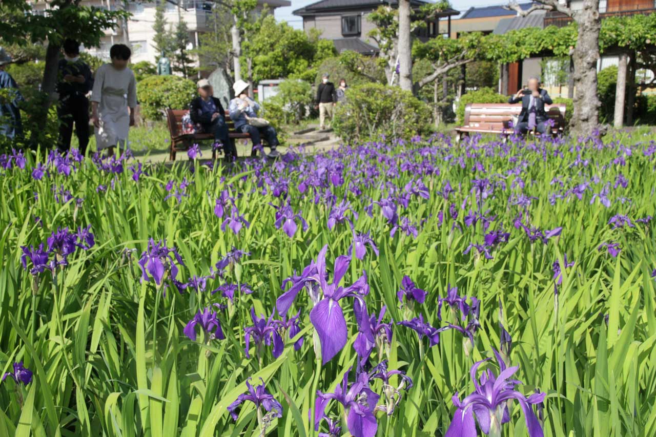 市が整備した2つめの庭園は、明るくのびやかな