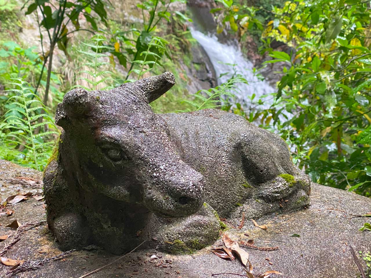 ｢牛の滝｣伝説にちなんだ牛の石像＝「牛の滝」そばで
