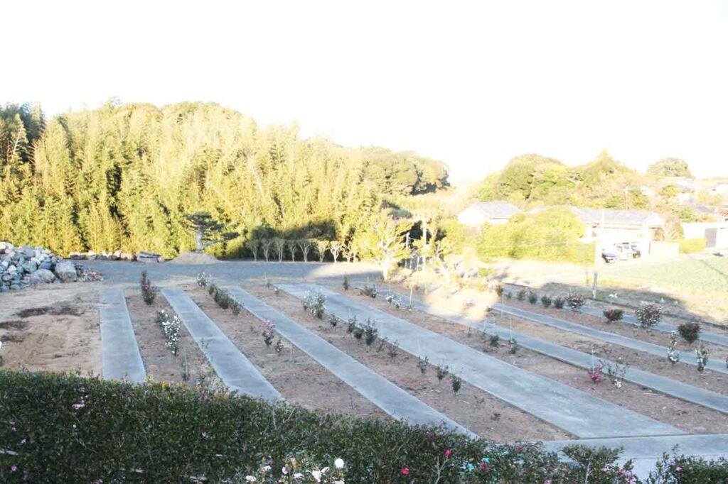 すくすくと育つ次代を担う苗木たち