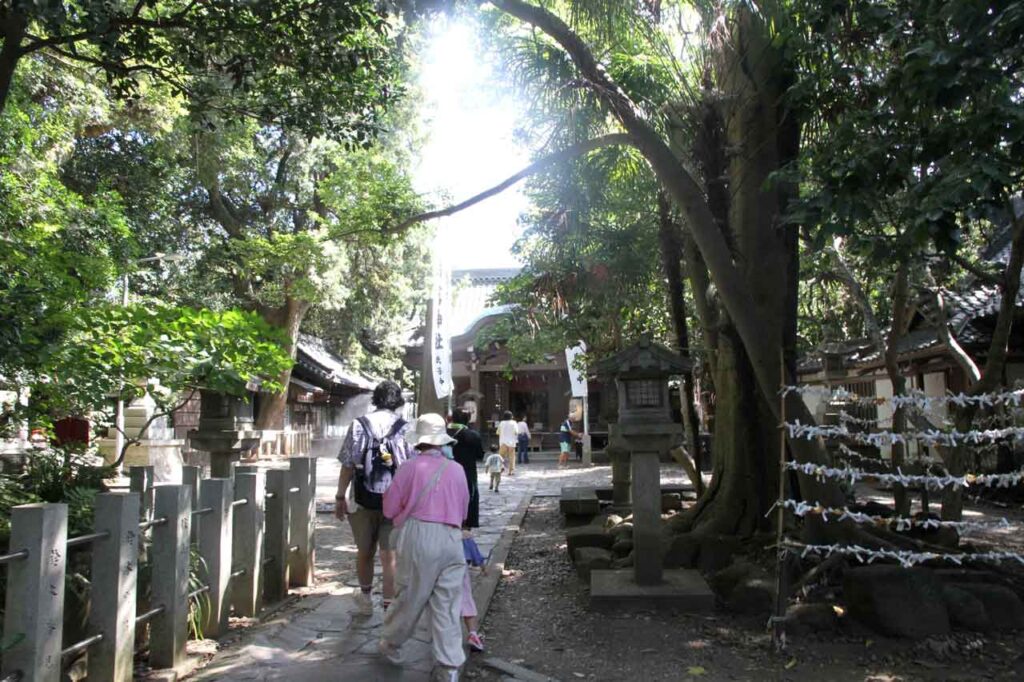 国天然記念物の社叢に囲まれたの八百富神社(蒲郡市竹島町)