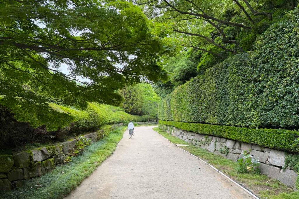 左側が御嶽山をイメージした築山、右側が銀閣寺垣をイメージした高生け垣