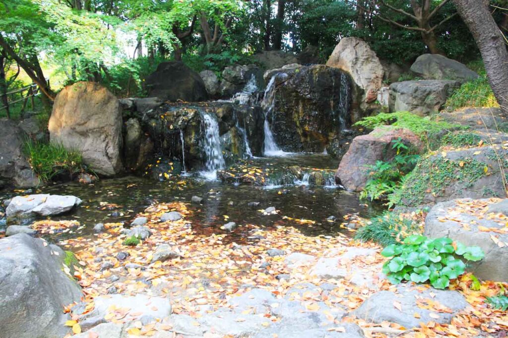 秋の雄滝