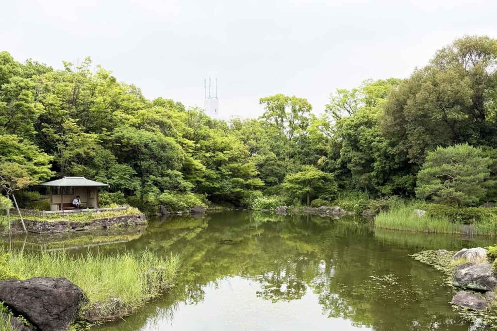 涼しげな園内風景