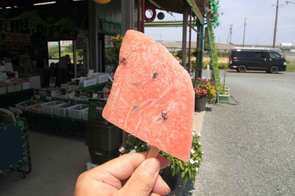 スイカをそのまま凍らせたアイス。これで200円はお得