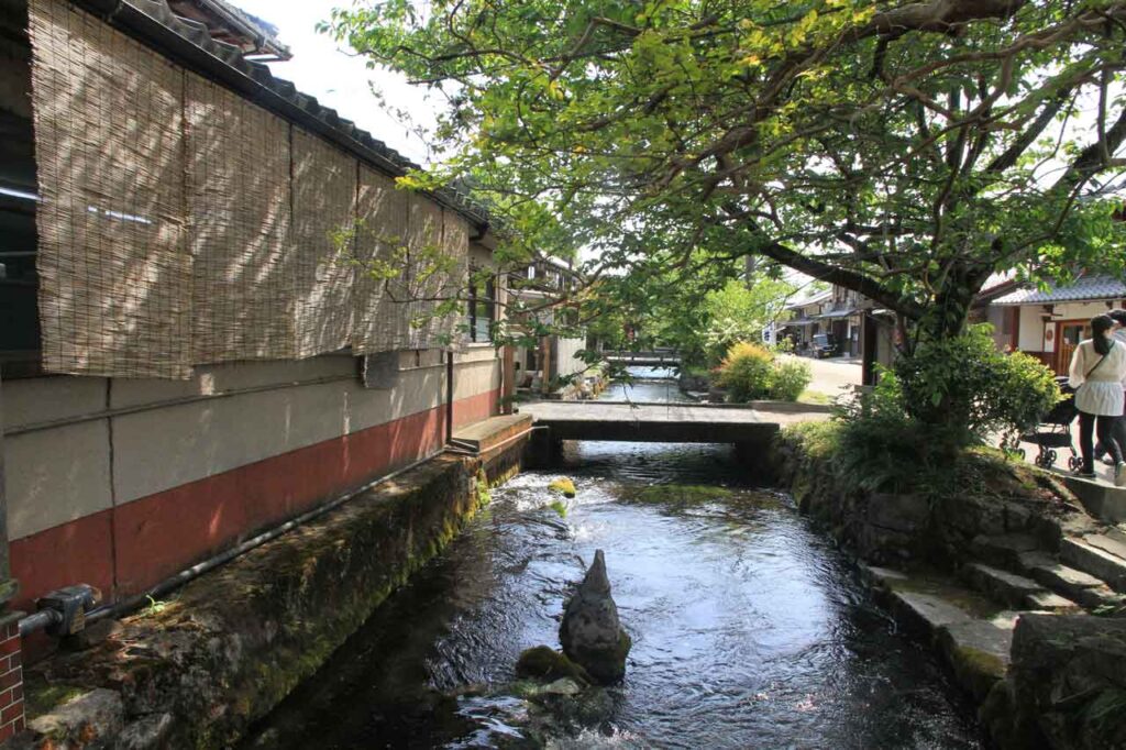 初夏の地蔵川